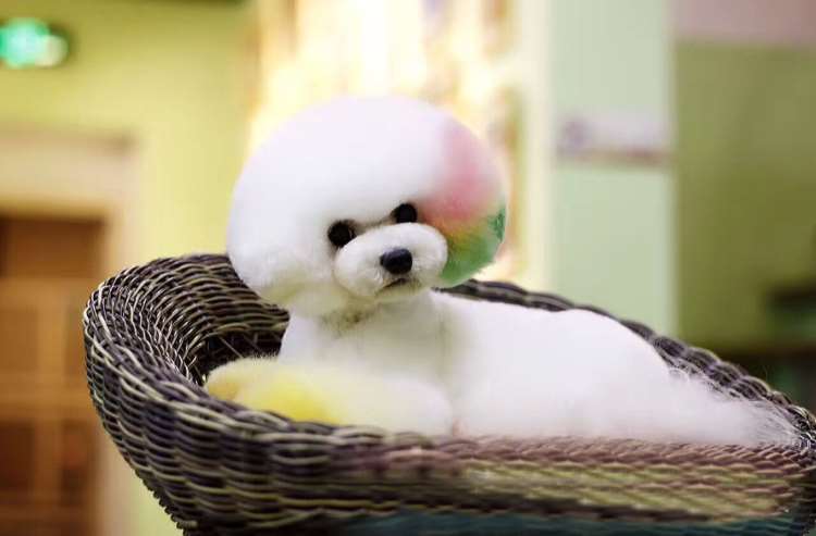 青禾影像社 作品封面