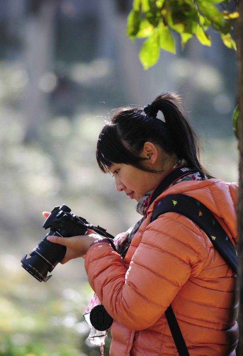 霁月影像社 头像